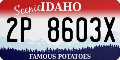 ID license plate 2P8603X
