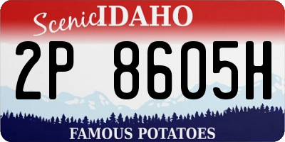 ID license plate 2P8605H