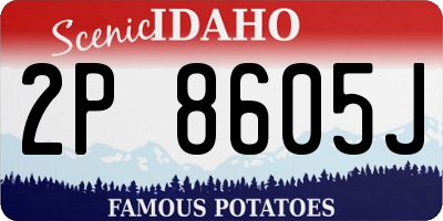 ID license plate 2P8605J