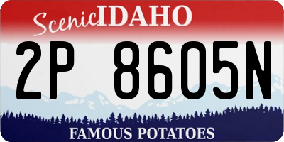 ID license plate 2P8605N