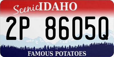 ID license plate 2P8605Q