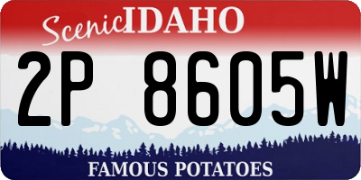 ID license plate 2P8605W