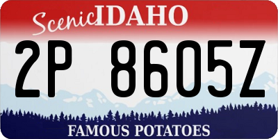 ID license plate 2P8605Z
