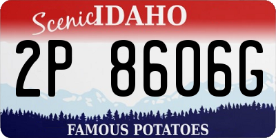 ID license plate 2P8606G