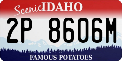 ID license plate 2P8606M