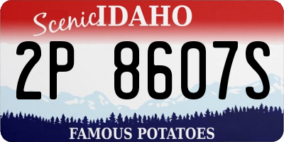 ID license plate 2P8607S