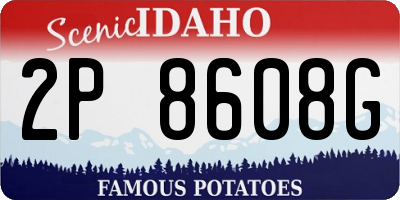 ID license plate 2P8608G