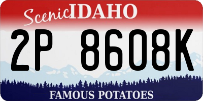 ID license plate 2P8608K
