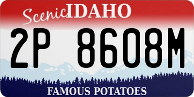 ID license plate 2P8608M