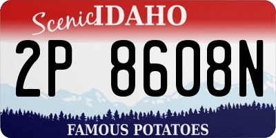 ID license plate 2P8608N