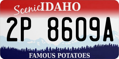 ID license plate 2P8609A