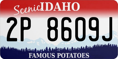 ID license plate 2P8609J