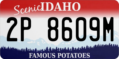 ID license plate 2P8609M