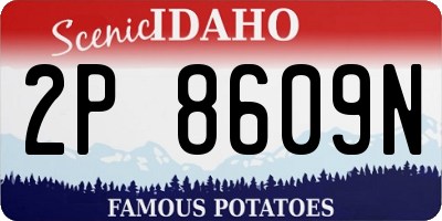 ID license plate 2P8609N
