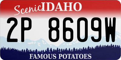ID license plate 2P8609W