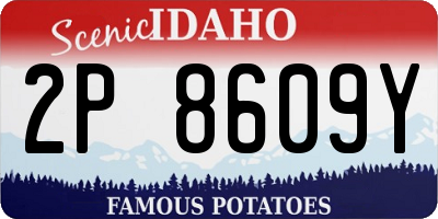 ID license plate 2P8609Y