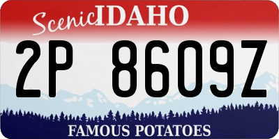 ID license plate 2P8609Z