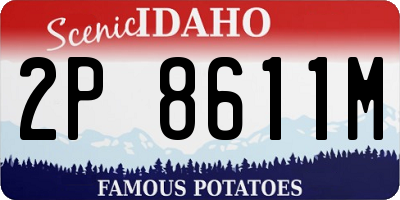 ID license plate 2P8611M
