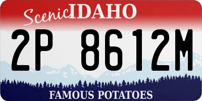ID license plate 2P8612M