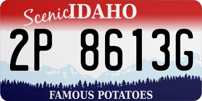 ID license plate 2P8613G