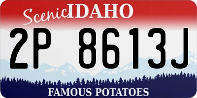 ID license plate 2P8613J