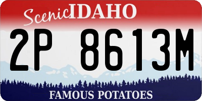 ID license plate 2P8613M