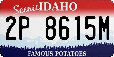 ID license plate 2P8615M