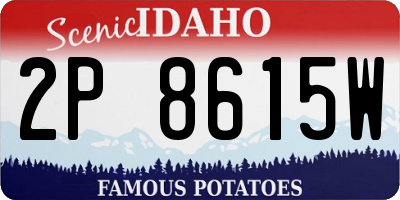 ID license plate 2P8615W
