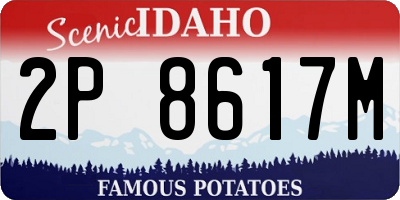ID license plate 2P8617M