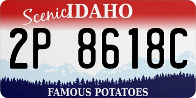 ID license plate 2P8618C