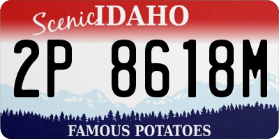 ID license plate 2P8618M