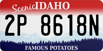 ID license plate 2P8618N