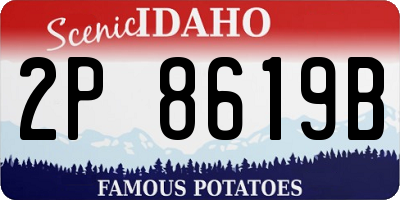 ID license plate 2P8619B