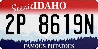 ID license plate 2P8619N