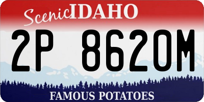 ID license plate 2P8620M