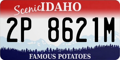 ID license plate 2P8621M