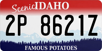 ID license plate 2P8621Z