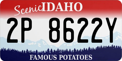 ID license plate 2P8622Y