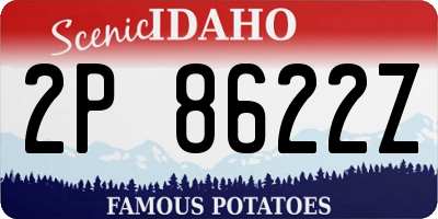 ID license plate 2P8622Z