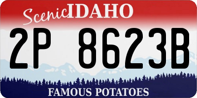 ID license plate 2P8623B