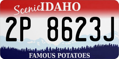 ID license plate 2P8623J