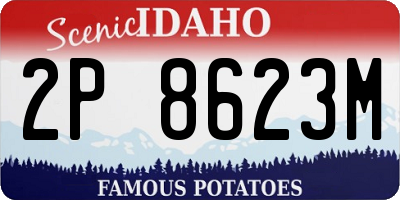 ID license plate 2P8623M