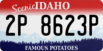 ID license plate 2P8623P