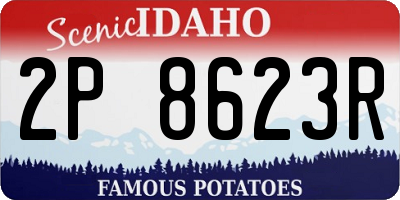 ID license plate 2P8623R