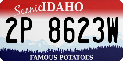 ID license plate 2P8623W