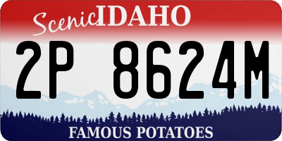 ID license plate 2P8624M