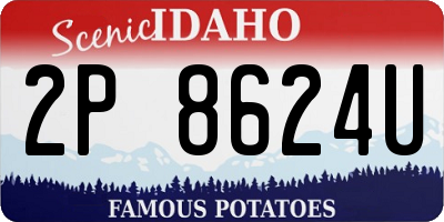 ID license plate 2P8624U