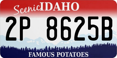 ID license plate 2P8625B