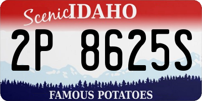 ID license plate 2P8625S