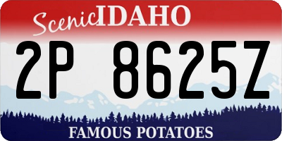 ID license plate 2P8625Z